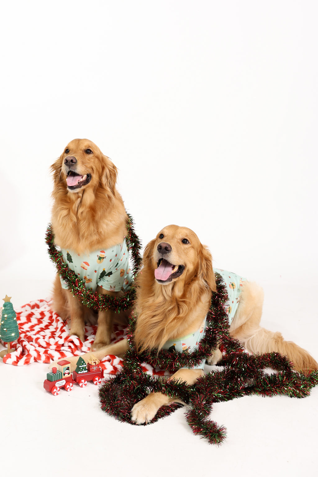 Seasons Eatings Bamboo Pet Pajamas