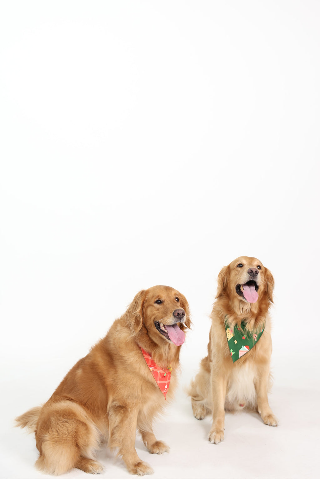 PRE-ORDER ONLY: 'Teas The Season 2.0 Bamboo Dog Bandana -2026
