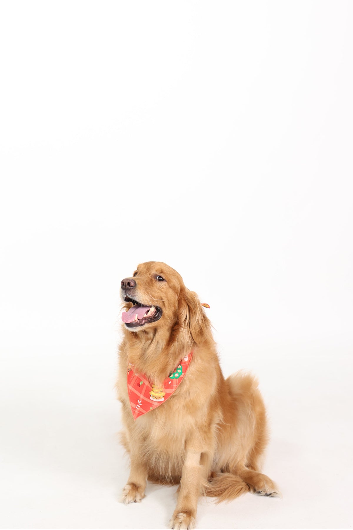 PRE-ORDER ONLY: Jingle Baos Bamboo Dog Bandana