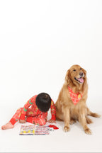 PRE-ORDER ONLY: Jingle Baos Bamboo Dog Bandana
